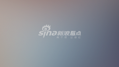布鲁塞尔灯光秀为欧洲文化遗产年揭幕